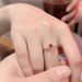 French Court Style Light Luxury Red Zircon For Women With A Niche Design, Vintage Fashion, Exquisite And Open Mouth Ring_ipsvogv.com