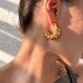 Ins Simple Real Gold Electroplated Titanium Steel Hollow Twist Horn Earrings_ipsvogv.com