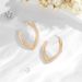 Atmospheric 2024 New High-end Ring Temperament Metal Hollow Ear Shaped Earrings_ipsvogv.com