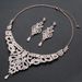 New Rose Gold Necklace Earrings Diamond Jewelry Wedding Dress Evening Gown Accessories Two-Piece Set_ipsvogv.com