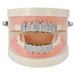 Micro Inlaid Gold Set, Pointed Teeth, Vampire Tee Th Hip-hop Accessory Tooth Set_ipsvogv.com
