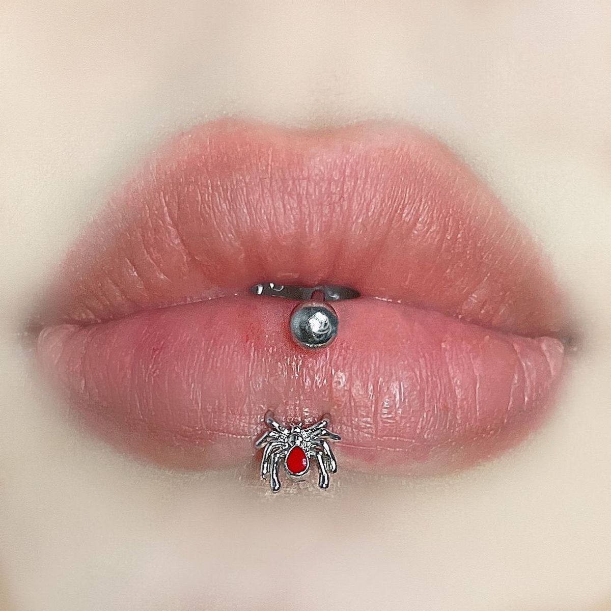 316L Spider lip ring horseshoe ring titanium steel niche piercing jewelry lip nail ear bone nail punk hot girl outer teeth_ipsvogv.com