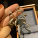 Cao Shi Exaggerates Earrings For Women's Banquet Dress Accessories, Inlaid With Sparkling Zircon Lines Jewelry_ipsvogv.com