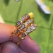 classic snake designer necklace women rose gold stainless steel white crystal diamond pendant nature sailormoon love_ipsvogv.com