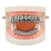 HIPHOP Hip Hop Gold Upper Lower Teeth, 8 Smooth Teeth Set_ipsvogv.com