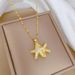 Sea 【 】 Star Pearl Light Luxury Charm Gorgeous Full Diamond Necklace Women's Versatile Clavicle Titanium Steel Chain 【 】_ipsvogv.com