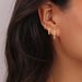Drop Earrings Real Gold Brass Electroplating Fashionable And Versatile Style Zircon Diamond_ipsvogv.com