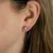 Cao Shi Edition Fashion Japanese And Korean Classic Six Claw Single Diamond Zircon Earrings Bridal Ear Accessories_ipsvogv.com