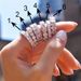 Cao Shi's whole ring full of diamond zircon women's ring, silver plated jewelry, versatile accessories ring_ipsvogv.com