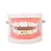 Hip Hop Braces Halloween Costume Dentures + Lower Teeth Combination Braces Personality Trendy Accessories_ipsvogv.com