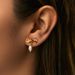 Special classic retro pearl earrings copper plated K real gold temperament French high end earrings_ipsvogv.com