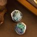 Exquisite And Fashionable Natural Abalone Shell Earri, Niche, Light Luxury, Fashionable, High-end Silver Needle_ipsvogv.com