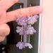 Women’s Jewelry Set Fashion Super Fairy White Flower Earrings For Women Long Tassel Temperament Net Red Ear Hook New Trend Earrings_ipsvogv.com