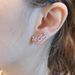 Cao Shi Butterfly Flower Exquisite For Women's Fashion Micro Inlaid Zircon Shining Daily Earrings_ipsvogv.com