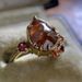 Sanjieins Fashion Women's Ring Alloy Inlaid With Tourmaline Color Creative Jewelry_ipsvogv.com