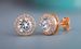 Cao Shi Fashion Ol Personalized Earrings Creative Zircon Women's Versatile Earrings And Earrings_ipsvogv.com