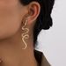 Ins Personality Creative Metal Snake Shaped Earrings Simple High End Diamond Studded Curved Design Earrings Net Red Ear Jewelry_ipsvogv.com