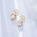 New S925 Sterling Silver Earrings, Small And Personalized Zircon Earrings, European And American Ins Style, Elegant Ladies' Silver Earrings_ipsvogv.com