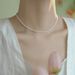 Shi Family Circle 2mm Extremely Fine Baby Millet Pearl Necklace For Women Light Luxury And Unique High End French Collar_ipsvogv.com