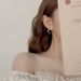 Women's Jewelry Simple Metal Earrings 925 Pure Silver High End Niche Twist Fashion Earrings Light Luxury Niche Earrings Silver Needle_ipsvogv.com