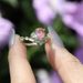 independently Developed A New Women's Colored Diamond Ring Instagram Internet Famous Alloy Inlaid With Water_ipsvogv.com