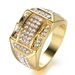Hand Jewelry Fashion Diamond Studded Men's Ring_ipsvogv.com