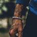Chenyu Rhinestone Men's Hip-Hop 1 Row Inlaid Diamond Bracelet_ipsvogv.com
