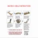 RACHELZ Fashion 6/6 Full Hollow Teeth 14K Gold Plated Tooth Caps Decor Braces Fangs Dental Grills For Men Women Jewelry_ipsvogv.com