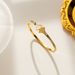 Shell Titanium Shining Stainless Steel Mesh Red Bracelet Light Luxury Jewelry_ipsvogv.com