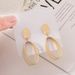 Women's earrings needle earrings for women European and American high-end long geometric oval earrings matte frosted fashionable ear jewelry trend_ipsvogv.com