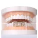 White Gold Iced Out A-Z Custom Name Letter Grillz Full Dia Cubic Zirconia Bg Teeth DIY Fang Grills Bottom Tooth Cap Hip_ipsvogv.com