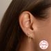 Women's Jewelry S925 Sterling Silver Ins Style Chain Tassel Diamond Earrings Earrings Personality Trend Earrings_ipsvogv.com