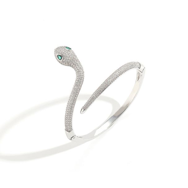 Unisex Ins New Snake Bracelet Hip Hop Micro Inlaid Zircon Niche Ladies Design High End Bracelet Trendy Brand Accessories_ipsvogv.com
