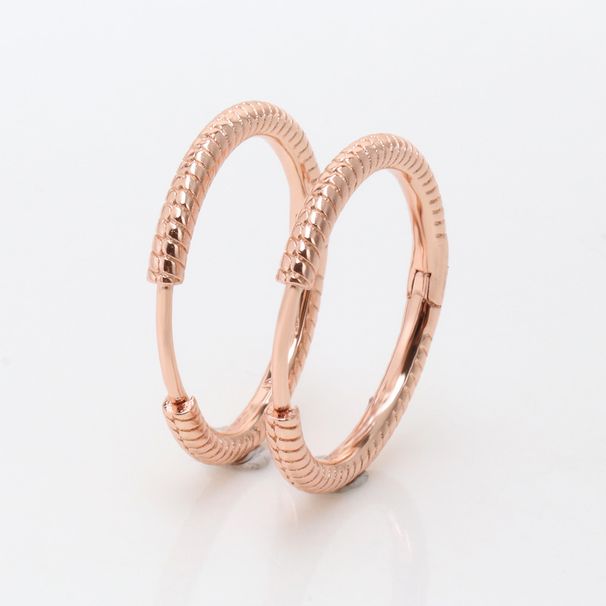 New Silver Plated Moments String Earrings For Women, Fashion Rose Earrings, Valentine's Day Surprise Gift_ipsvogv.com