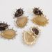 ZA Baroque Personalized Trendy Geometric Resin Pendant with Light Luxury Charm Alloy Earrings for Women_ipsvogv.com