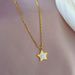 【 Full body titanium steel 】 Real gold necklace in the pentagonal star extremely simple wind furnace, female ins mesh_ipsvogv.com