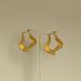 Fashionable Niche INS Retro Titanium Steel Pleated Seaweed Design Earrings_ipsvogv.com