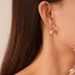 Light Luxury Metal Diamond Circle Ear Buckle Earrings French Simple Premium Geometric Earrings_ipsvogv.com
