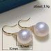 Cao Shi'sl earrings women's luxury and high sense ins earrings trendy autumn and winter versatile earrings_ipsvogv.com