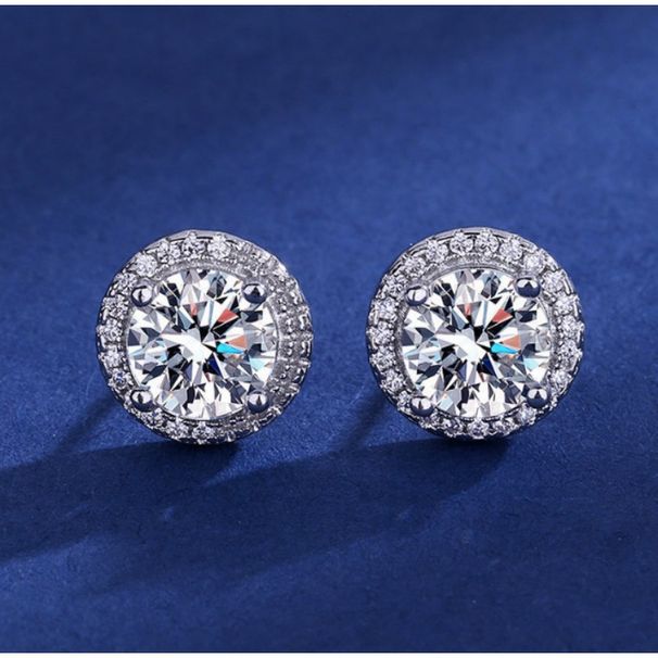 1pc Accessories Sier Plated Earrings Women's_ipsvogv.com