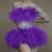 Women's Clothing lace rhinestone waisted tutu skirt cute sweet evening dress stage short skirt _ipsvogv.com