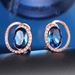 Unisex popular fashion earrings Rose gold plated blue stone hot selling jewelry_ipsvogv.com
