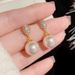 S Silver Needle Exquisite Small Micro-Paved Zircon Teardrop Pearl For Women Fashion Light Luxur Elegant Earrings_ipsvogv.com