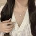 Sparkling Four Leaf Clover Zircon Necklace 2024 New Edition, Niche, Light Luxury, High-end Feeling, Titanium Steel Non_ipsvogv.com