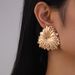 Irregular Elegant Stud High-end Luxury Women's Earrings Unique Design Niche Ear Jewelry_ipsvogv.com