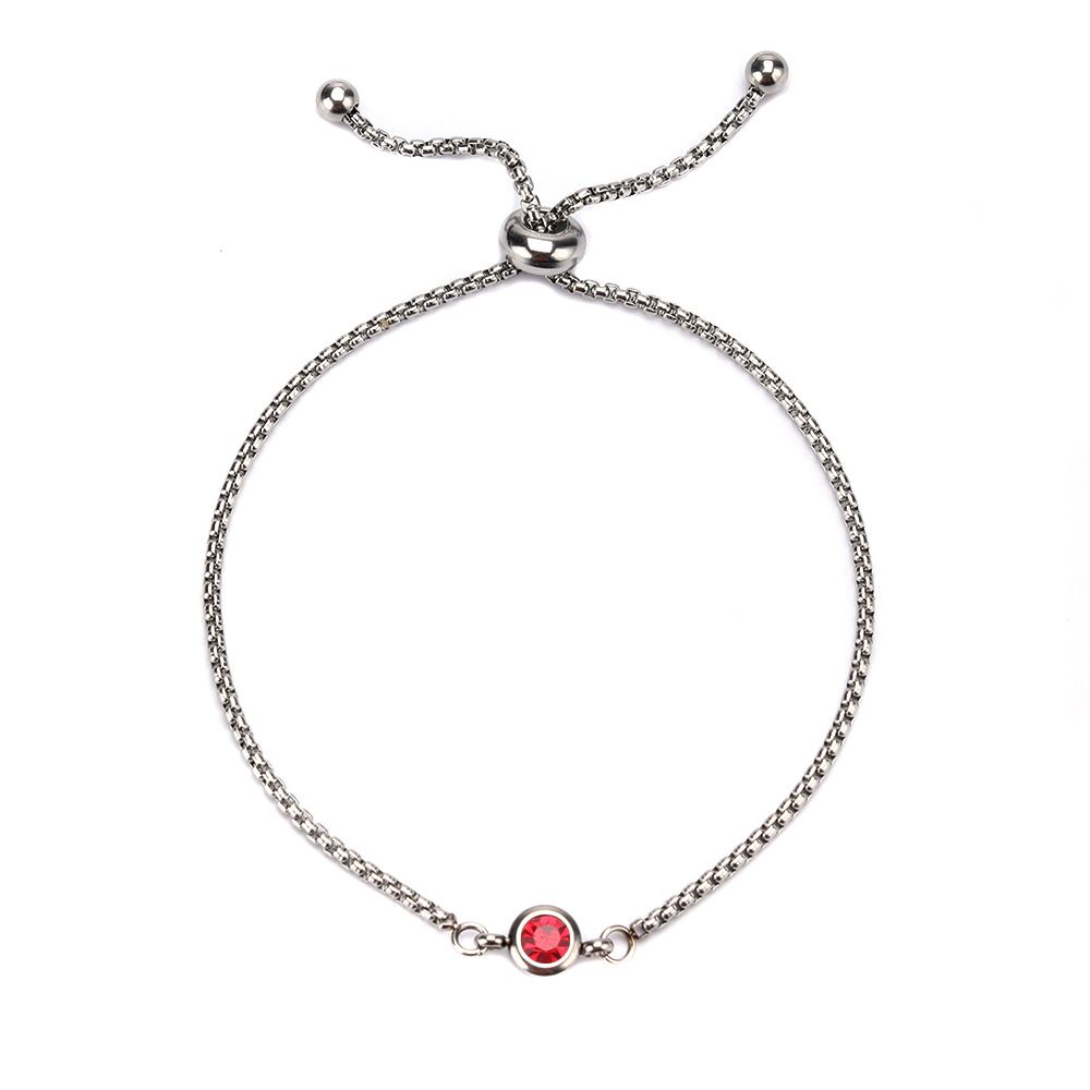 Women's Jewelry Simple Stainless Steel Twelve Birthstone Ladies Bracelet Mother's Day Jewelry_ipsvogv.com
