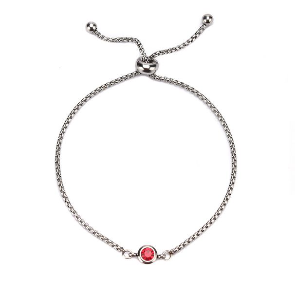 Women's Jewelry Simple Stainless Steel Twelve Birthstone Ladies Bracelet Mother's Day Jewelry_ipsvogv.com