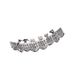 Trendy Nightclub Hip-Hop Rock Halloween Copper Zircon Teeth Jewelry Braces_ipsvogv.com