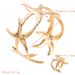 New Minimalist Metallic Ring Set With Personalized And Cool Opening Style Starfish Bracelet_ipsvogv.com
