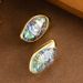 Hot Selling Fashionable Colorful Abalone Earri, Light Luxury Temperament, High-end Feeling, Shell Silver Needle_ipsvogv.com